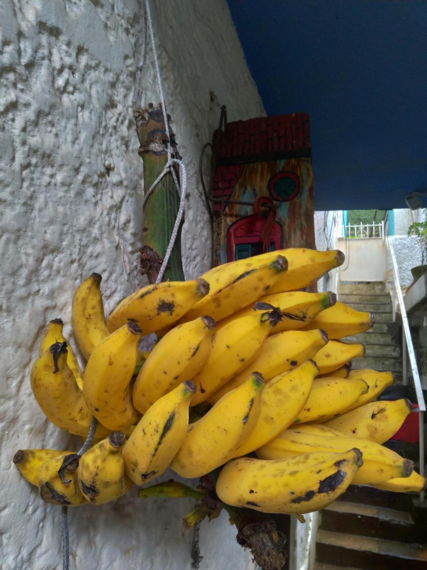 Rio National Park H&C Bed & Breakfast Rio de Janeiro Luaran gambar